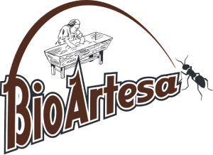 BioArtesa – Web Oficial