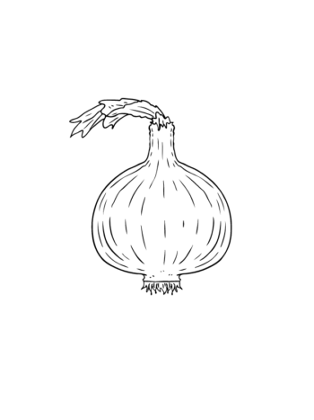 Cebolla Ecológica