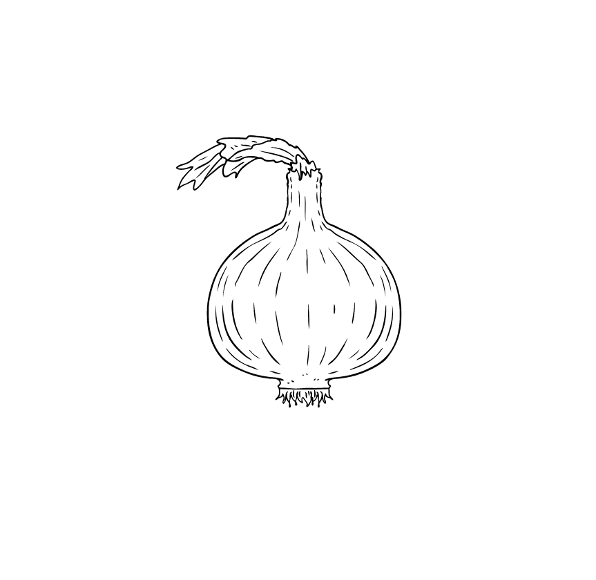Cebolla