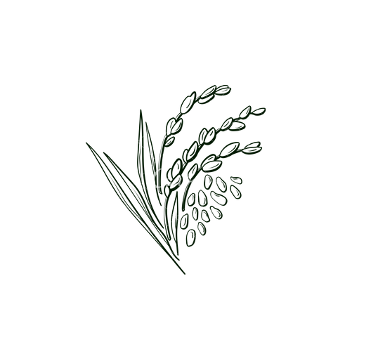 Arroz