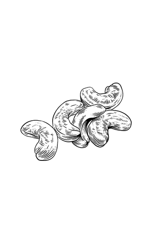 Frutos secos