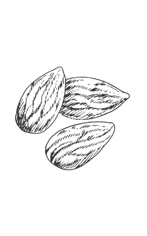 Almendras Ecológicas