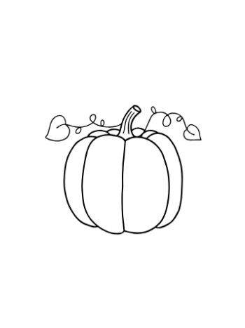 Calabaza Ecológica