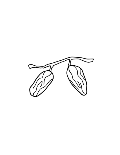 Datil