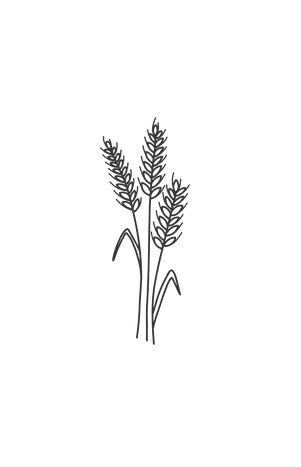 Espelta
