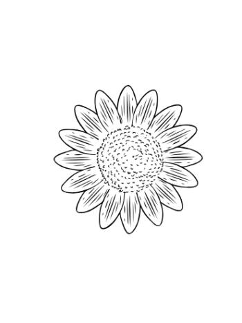 Girasol Ecológicos