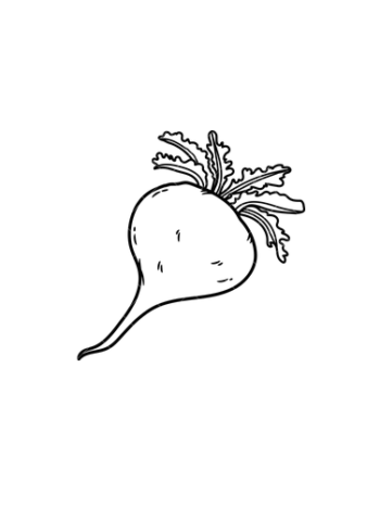 Maca Ecológica