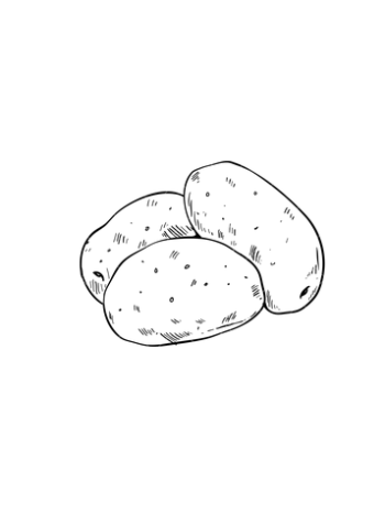 Patata Ecológica