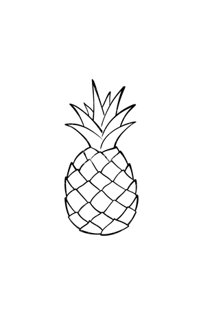 Piña Ecológica