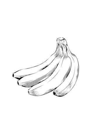 Plátano Ecológico