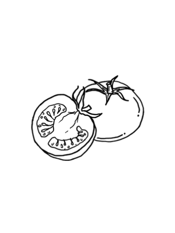 Tomate Ecológico